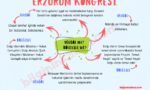 ERZURUM KONGRESİ