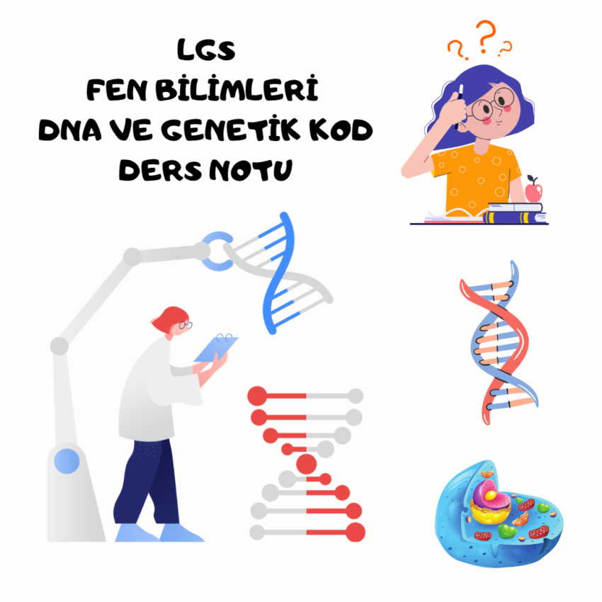DNA VE GENETİK KOD LGS DERS NOTU PDF
