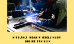 NİTELİKLİ İNSANIN ÖZELLİKLERİ ONLİNE ETKİNLİK