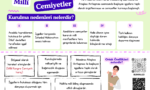 Milli Cemiyetler